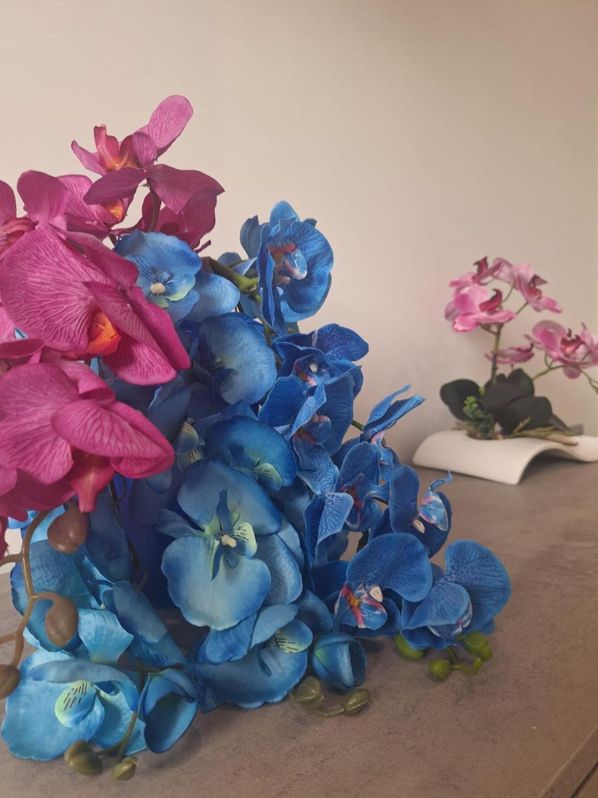 Grazia'S Home Сант'Агнело Екстериор снимка