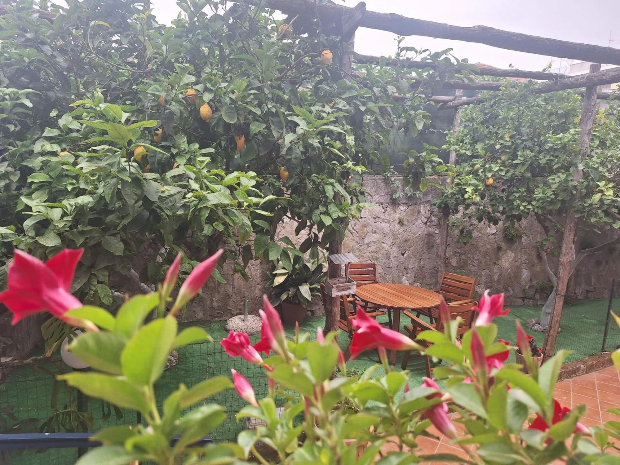 Grazia'S Home Сант'Агнело Екстериор снимка